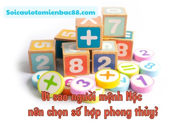 số hợp mệnh mộc