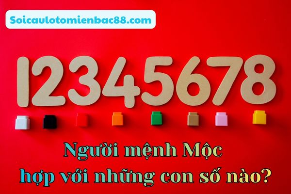 Người mệnh Mộc phù hợp với nhóm số thuộc hành Mộc và hành Thủy