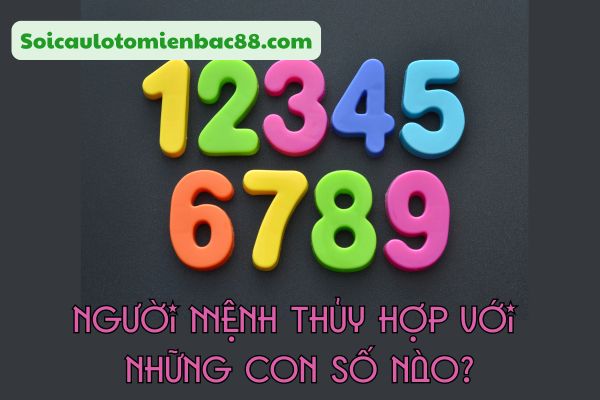 Người mệnh Thủy phù hợp với hai nhóm số thuộc hành Thủy và hành Kim