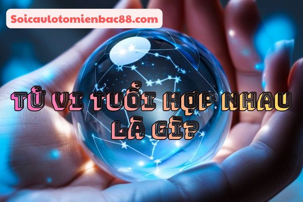tử vi tuổi hợp nhau