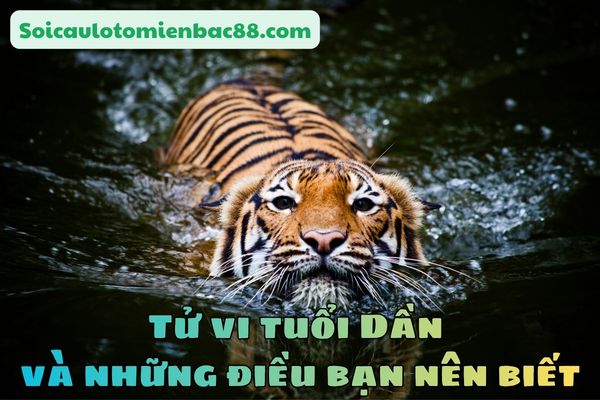 tử vi tuổi Dần
