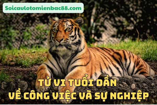 Tinh thần sự nghiệp của tuổi Dần dám nghĩ dám làm