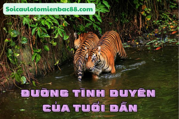tử vi tuổi Dần