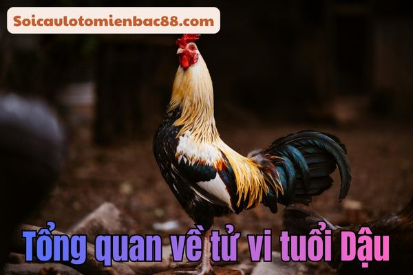 tử vi tuổi Dậu