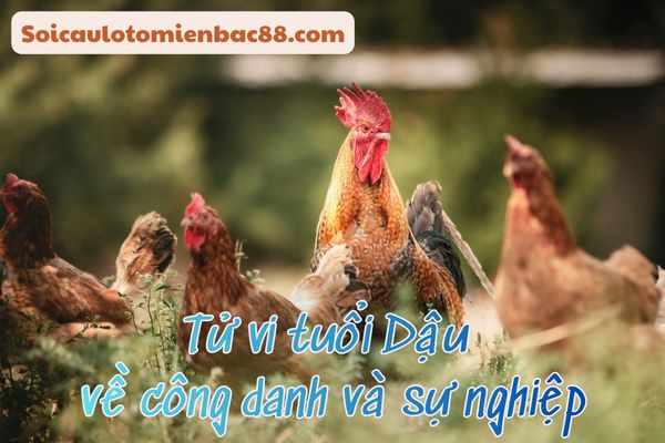 Con đường sự nghiệp của người tuổi Dậu nhìn chung ổn định