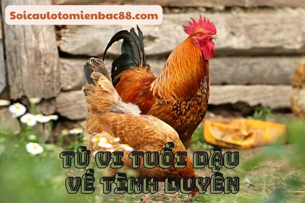 tử vi tuổi Dậu
