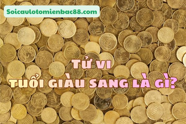 tử vi tuổi giàu sang