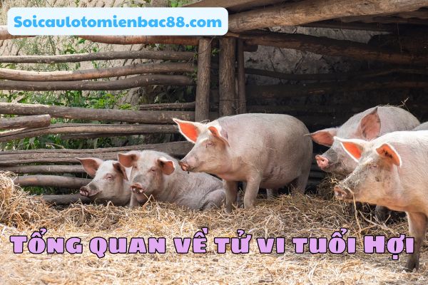 tử vi tuổi Hợi