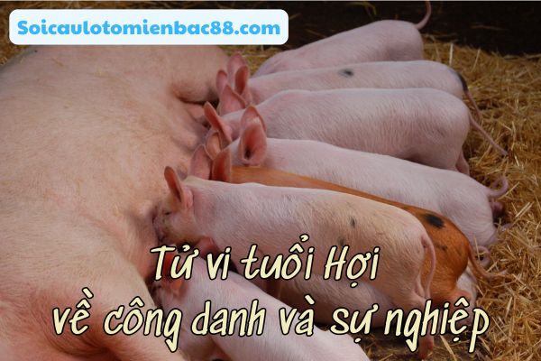 Khám phá con đường sự nghiệp của tuổi Hợi