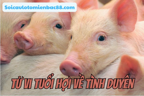 tử vi tuổi Hợi