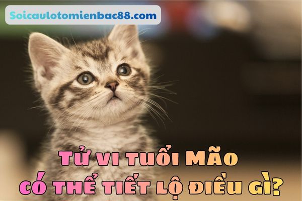 tử vi tuổi Mão
