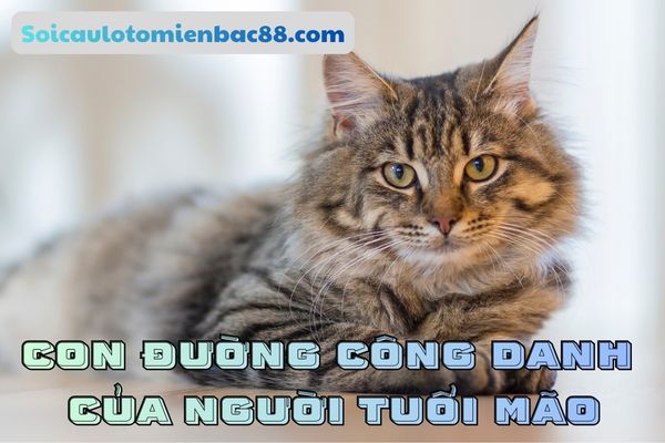 Sự nghiệp của tuổi Mão phát triển theo hướng bền vững