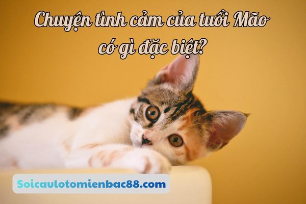 tử vi tuổi Mão