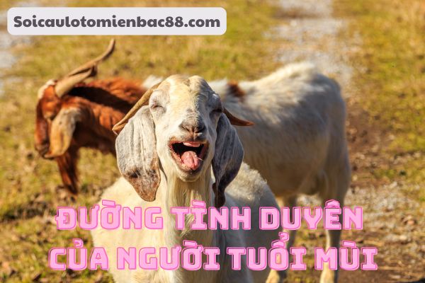 tử vi tuổi Mùi