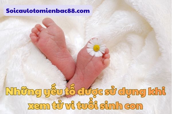 Đánh giá mức độ hợp tuổi dựa trên nhiều yếu tố