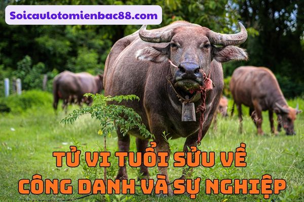 Tuổi Sửu thường phải trải qua nhiều thử thách để tích lũy kinh nghiệm
