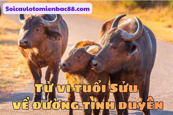 tử vi tuổi Sửu