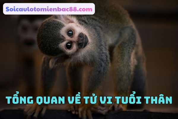 tử vi tuổi Thân