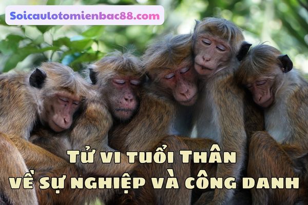 Con đường sự nghiệp của người tuổi Thân thường khá đa dạng