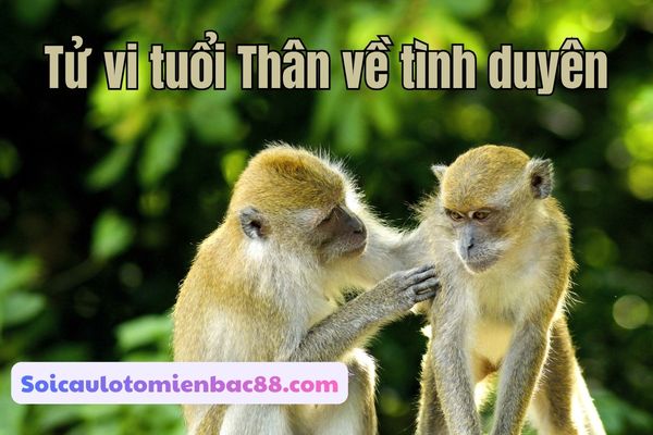 tử vi tuổi Thân