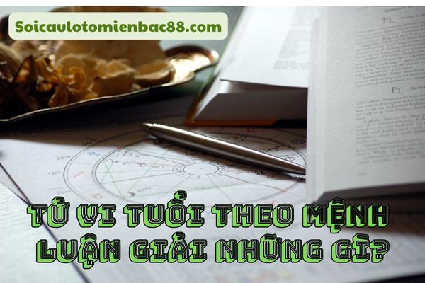 Tử vi theo mệnh phản ánh nhiều khía cạnh quan trọng trong cuộc sống