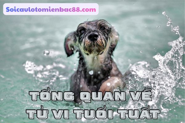 tử vi tuổi Tuất