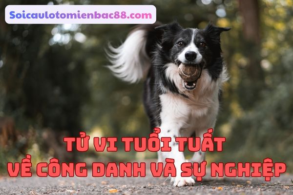 Tuổi Tuất thường đạt được vị trí ổn định trong công việc