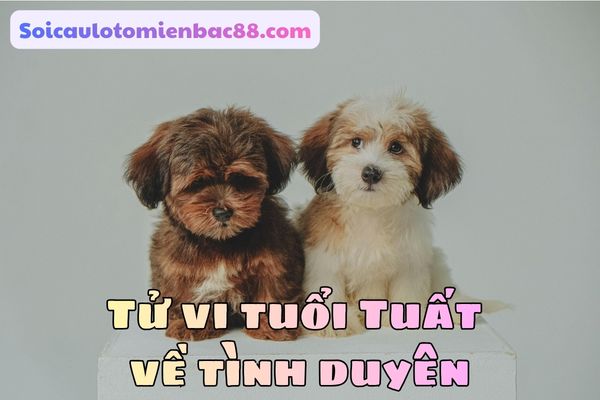 tử vi tuổi Tuất