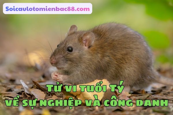 Tìm hiểu sự nghiệp và công danh của tuổi Tý