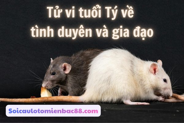 tử vi tuổi Tý