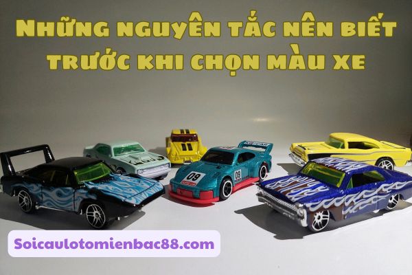 Một số nguyên tắc cơ bản trước khi chọn màu xe theo mệnh