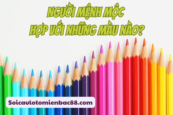 Người mệnh Mộc hợp với các màu thuộc hành Mộc và hành Thủy