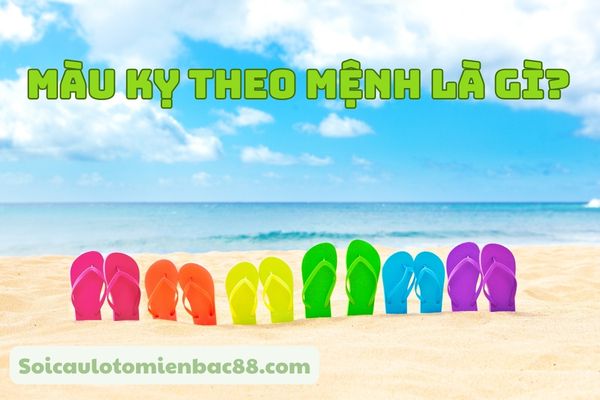 màu kỵ theo mệnh