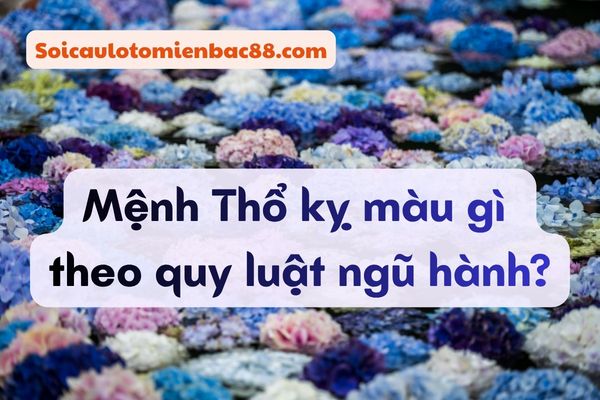 mệnh thổ kỵ màu gì