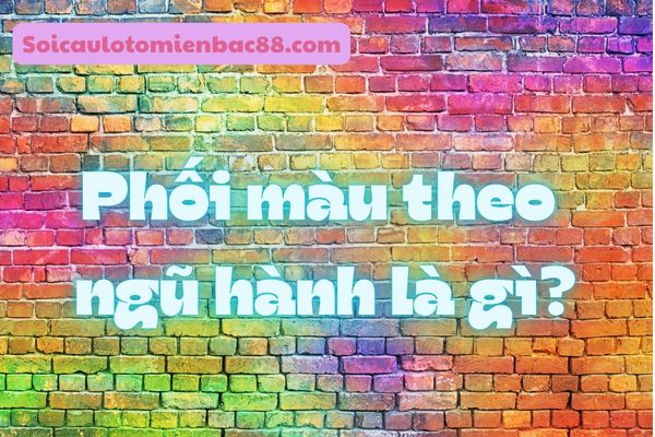 phối màu theo ngũ hành
