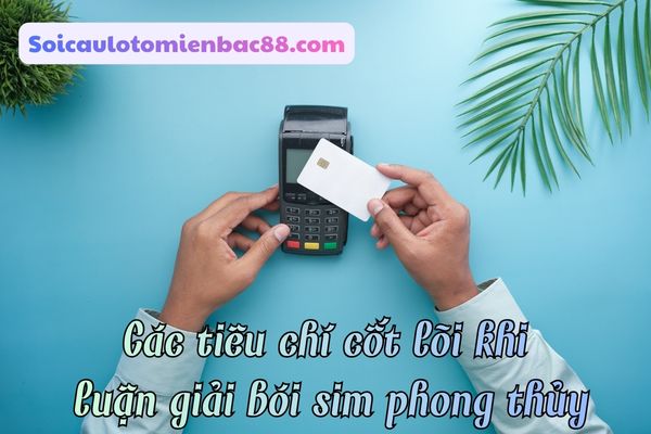 bói sim phong thuỷ