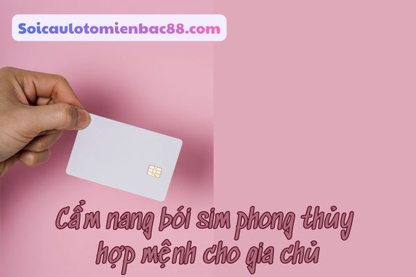Cẩm nang bói sim phong thuỷ hợp mệnh với gia chủ